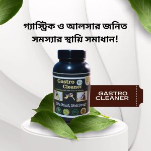 Gastro Cleaner
